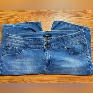 D. Jeans Plus Size Denim Shorts